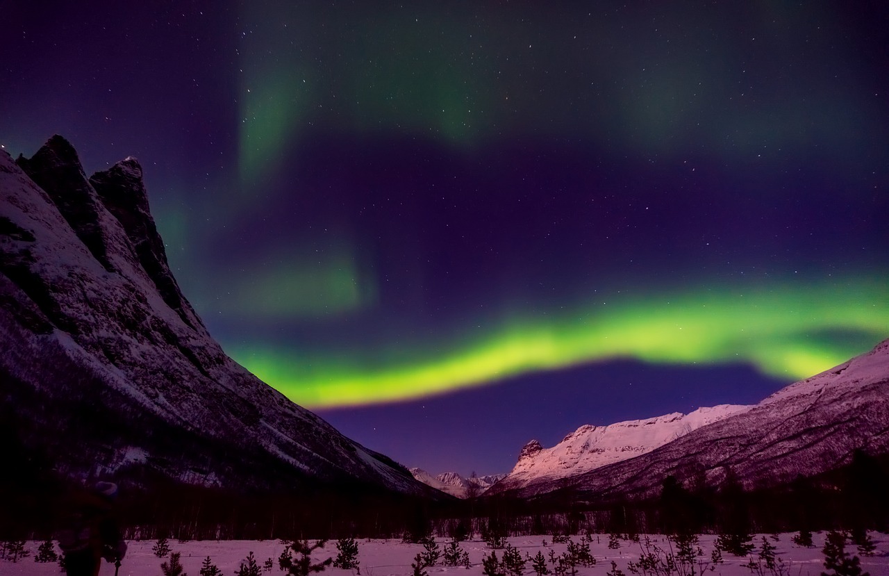 Norvegija, Šiaurės Pašvaistė, Aurora Borealis, Dujos, Reiškiniai, Atmosfera, Gražus, Naktis, Naktis, Miškas
