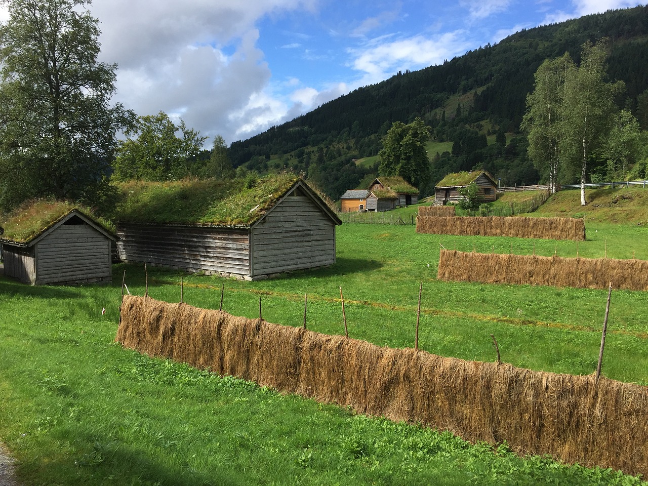 Norvegija, Sunnfjord, Kraštovaizdis, Žemdirbystė, Seni Namai, Nemokamos Nuotraukos,  Nemokama Licenzija