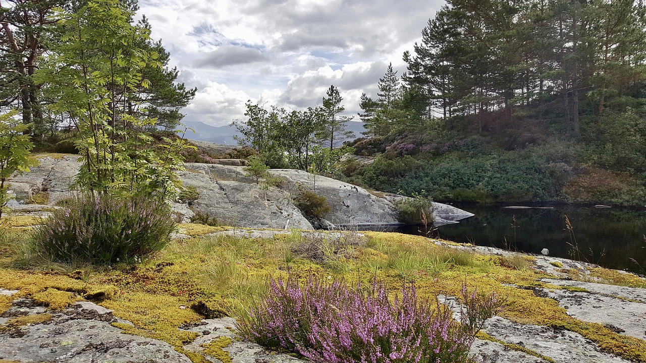 Norvegija, Kraštovaizdis, Fjordas, Gamta, Skandinavija, Norvegijos Gamta, Nemokamos Nuotraukos,  Nemokama Licenzija