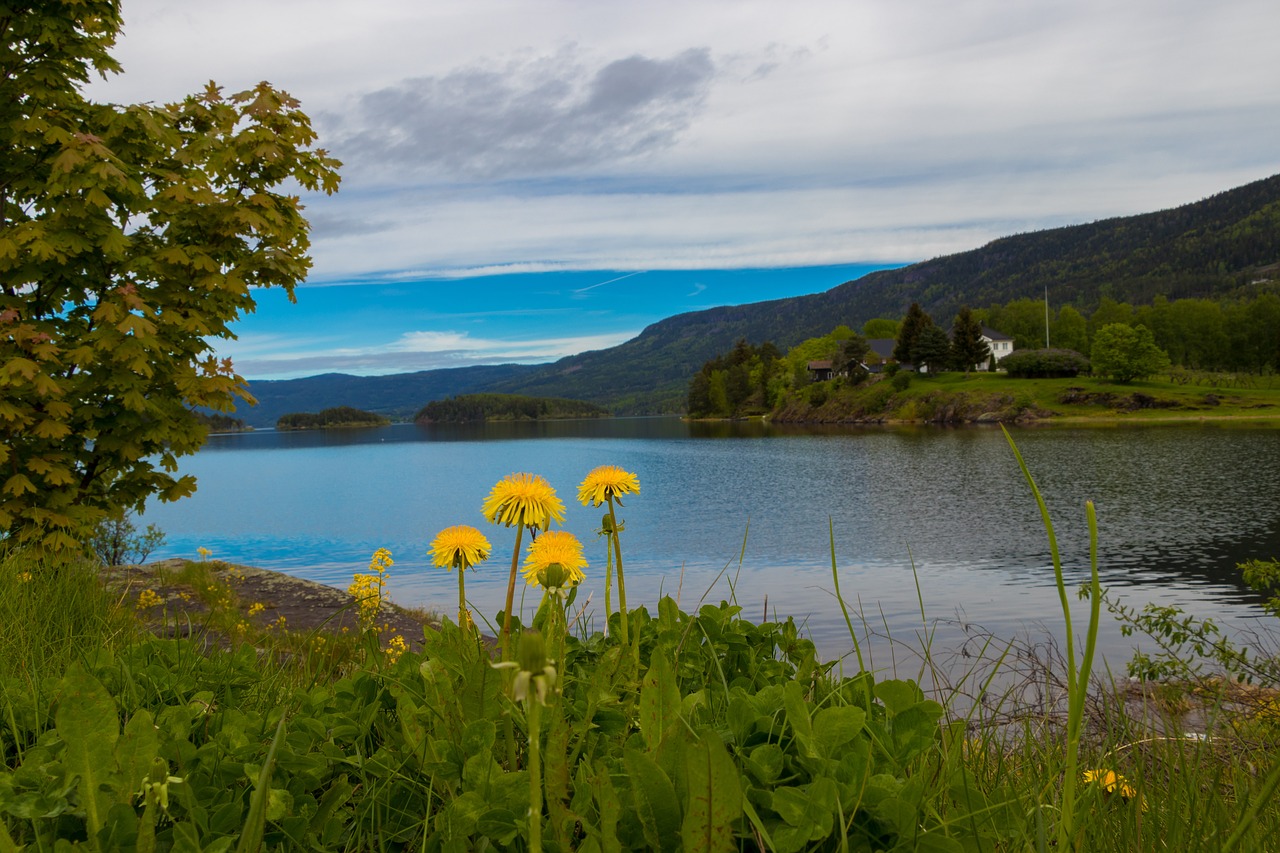 Norvegija, Vaizdas, Kraštovaizdis, Gamta, Kalnai, Debesys, Panorama, Nuostabus, Vanduo, Turizmas