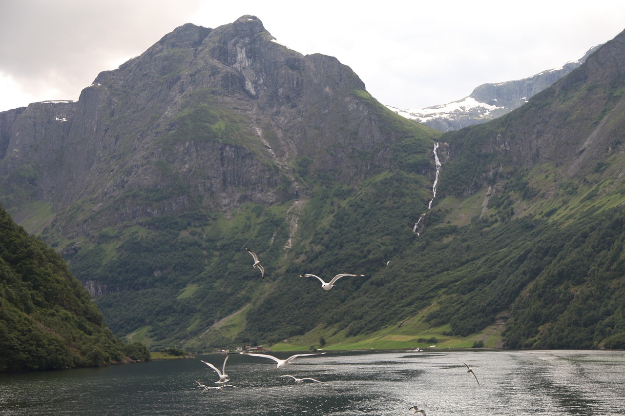 Norvegija, Fjordas, Balandis, Panorama, Kalnas, Upė, Ežeras, Paukščiai, Kajakas, Gamta