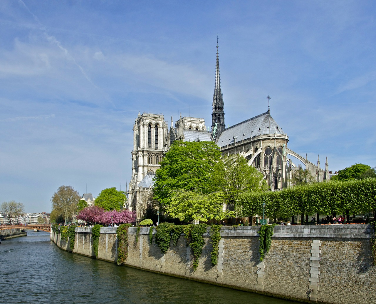 Notre Dame, Paris, France, Seine, Upė, Vanduo, Gėlės, Bažnyčia, Katedra, Miestas