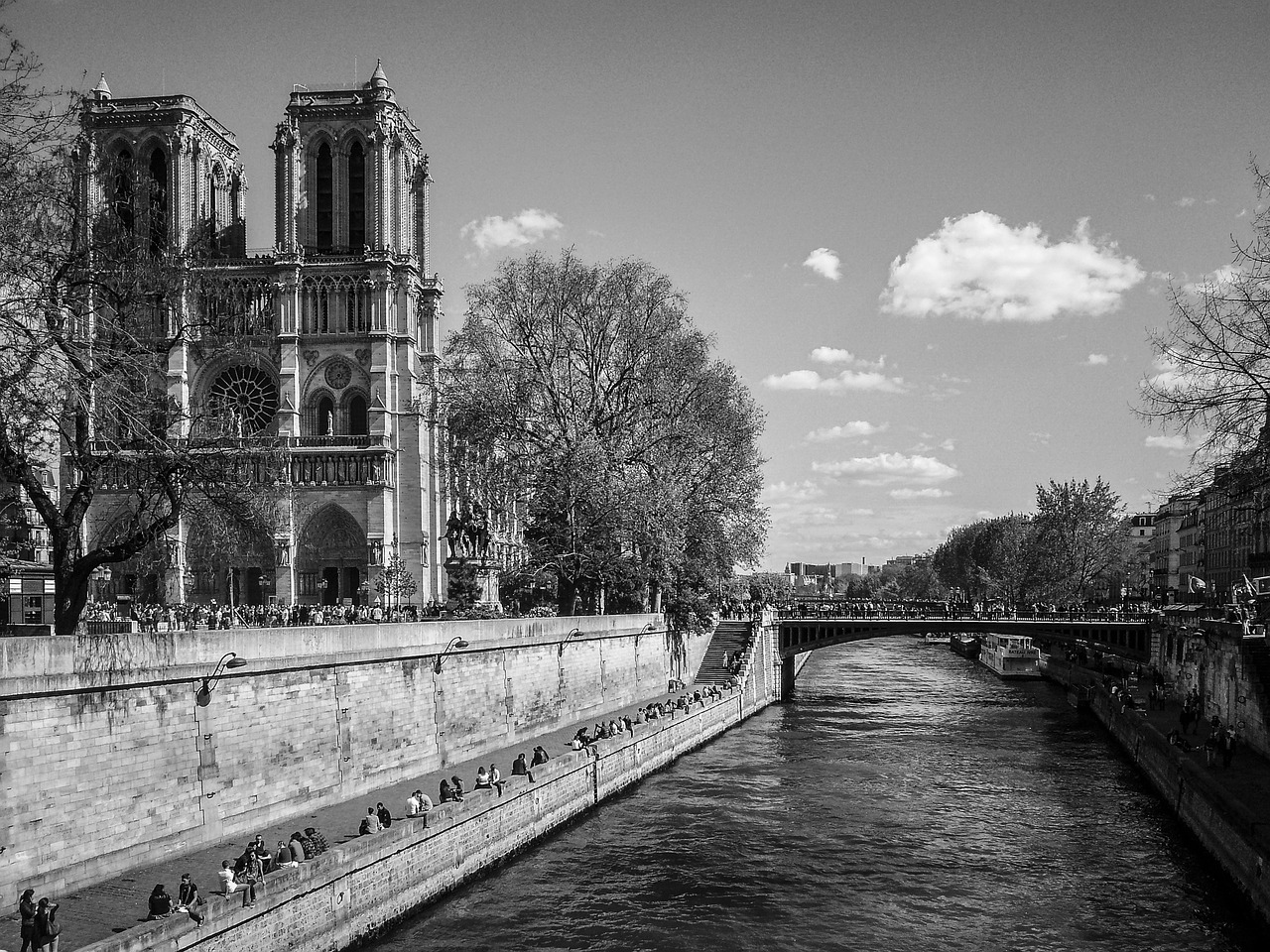 Notre Damme, Katedra, France, Paris, Miesto Centras, Miestas, Notredam Up, Architektūra, Balta, Skullis