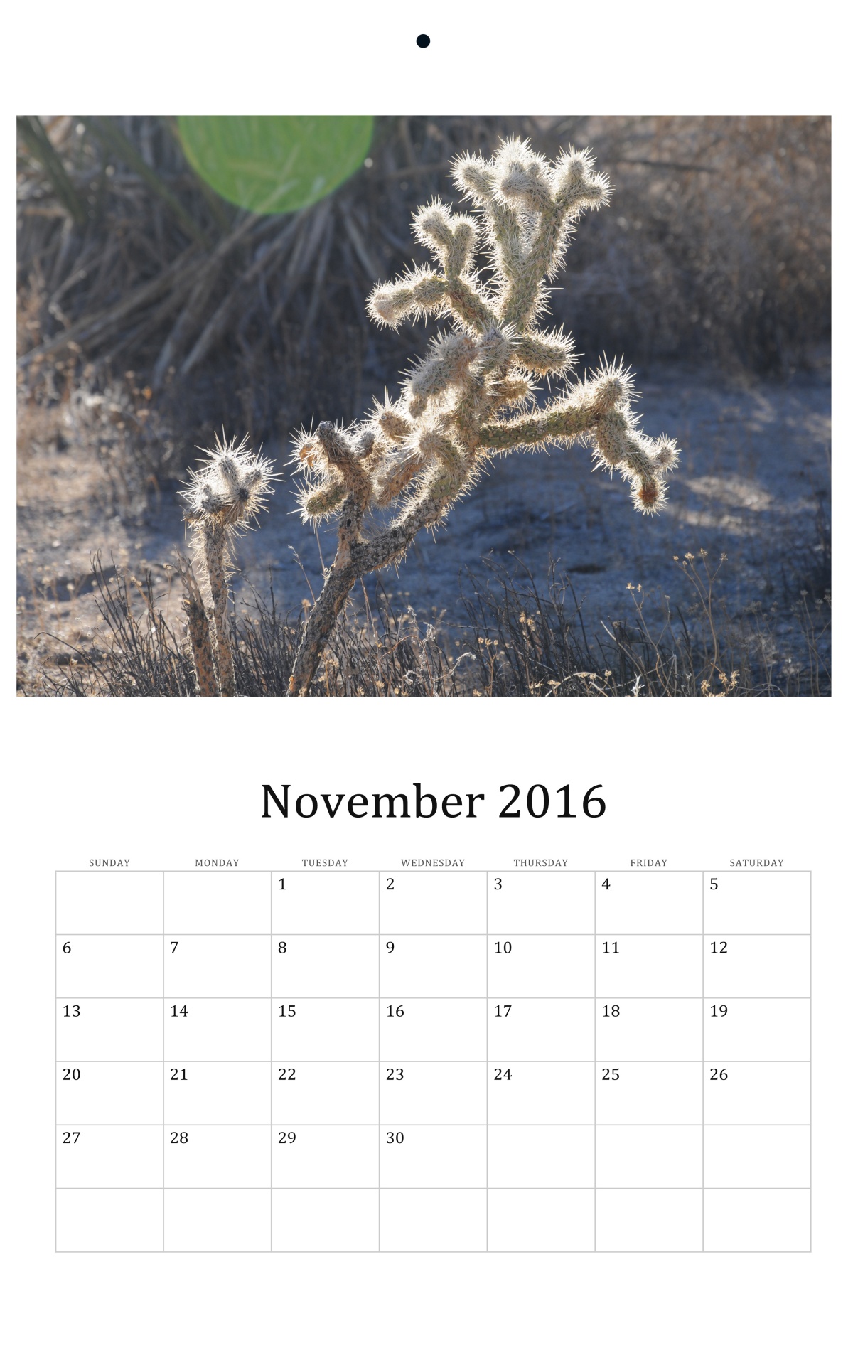 2016,  2016 & Nbsp,  Kalendorius,  Lapkritis,  Joshua & Nbsp,  Medis,  Kalifornija,  Kalendoriai,  Mėnesinis & Nbsp,  Kalendorius