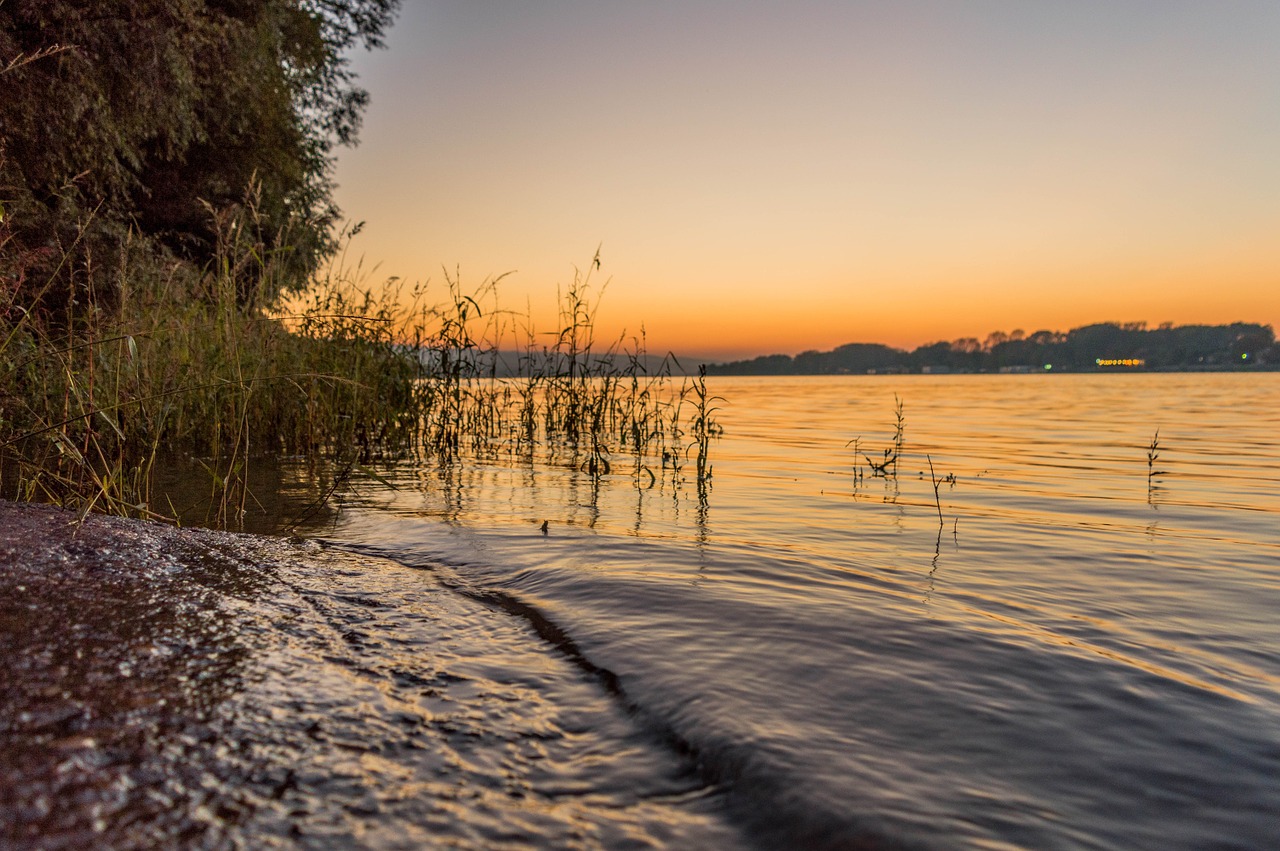 Novi Sad, Serbija, Europa, Gamta, Upė, Danube, Atviras Saulėlydis, Nemokamos Nuotraukos,  Nemokama Licenzija