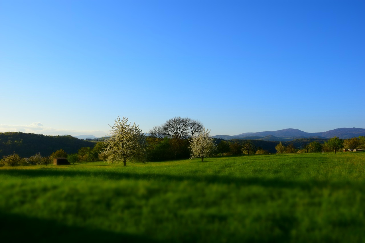 Nuglar, Šveicarija, Jura, Kraštovaizdis, Nemokamos Nuotraukos,  Nemokama Licenzija