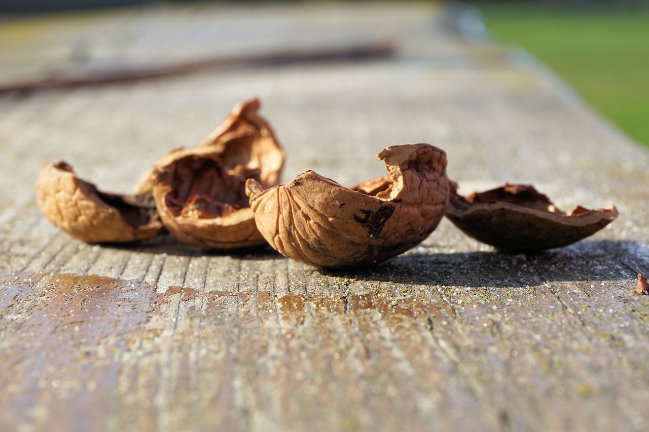 Riešutai, Nutshells, Graikiniai Riešutai, Gamta, Ruda, Lukštas, Atviras, Tuščia, Nemokamos Nuotraukos,  Nemokama Licenzija