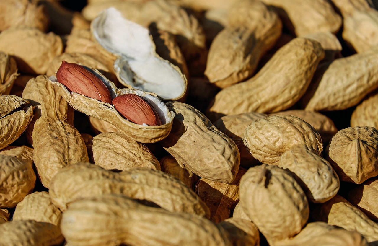 Riešutai, Žemės Riešutas, Skrudinta, Branduoliai, Užkandis, Sveikas, Skanus, Kalorijos, Ruduo, Nemokamos Nuotraukos