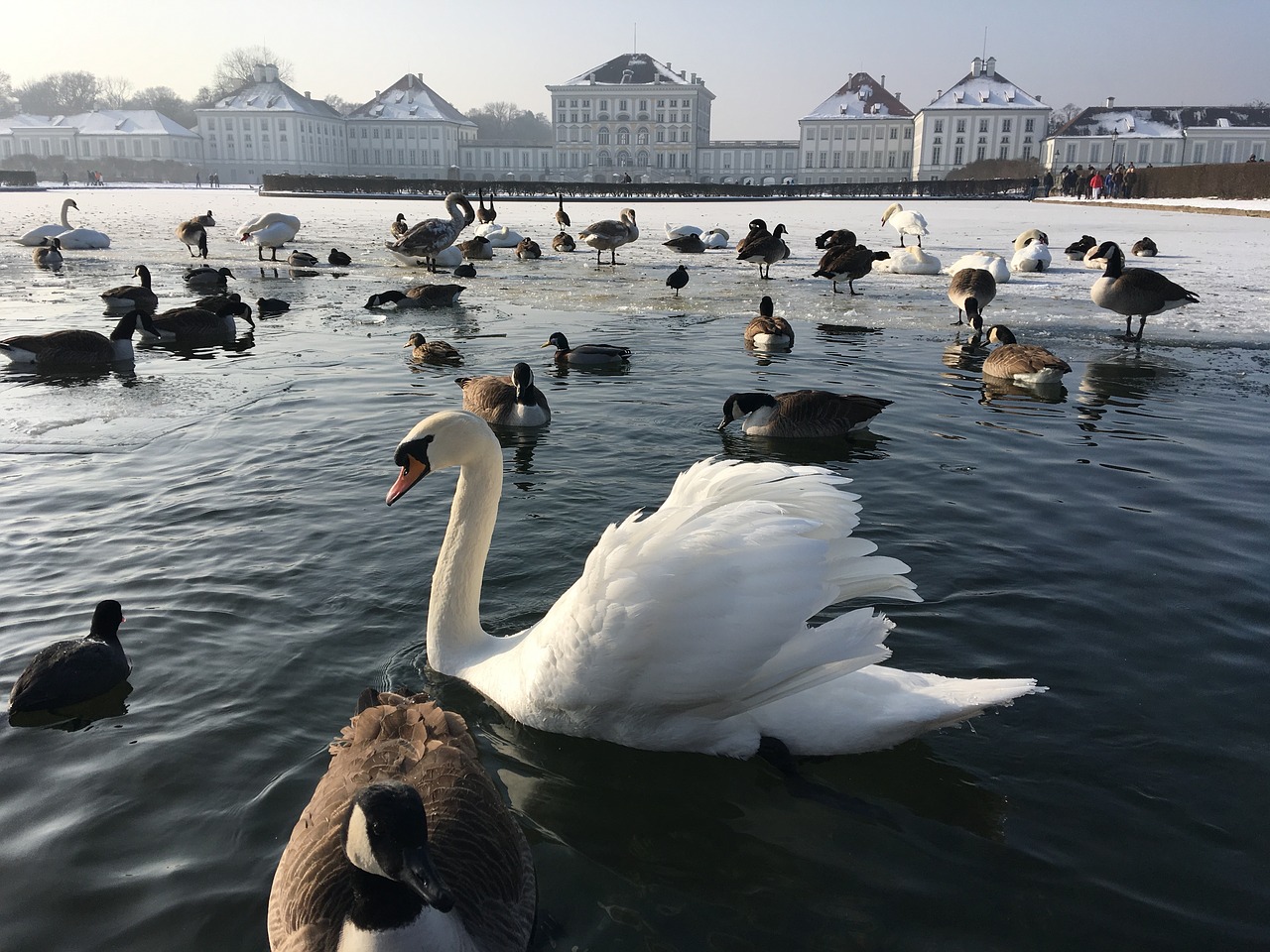 Nymphenburg Rūmai, Munich, Bavarija, Pilis Nymphenburg, Pilis, Nymphenburg, Parkas, Pilies Parkas, Vanduo, Mėlynas