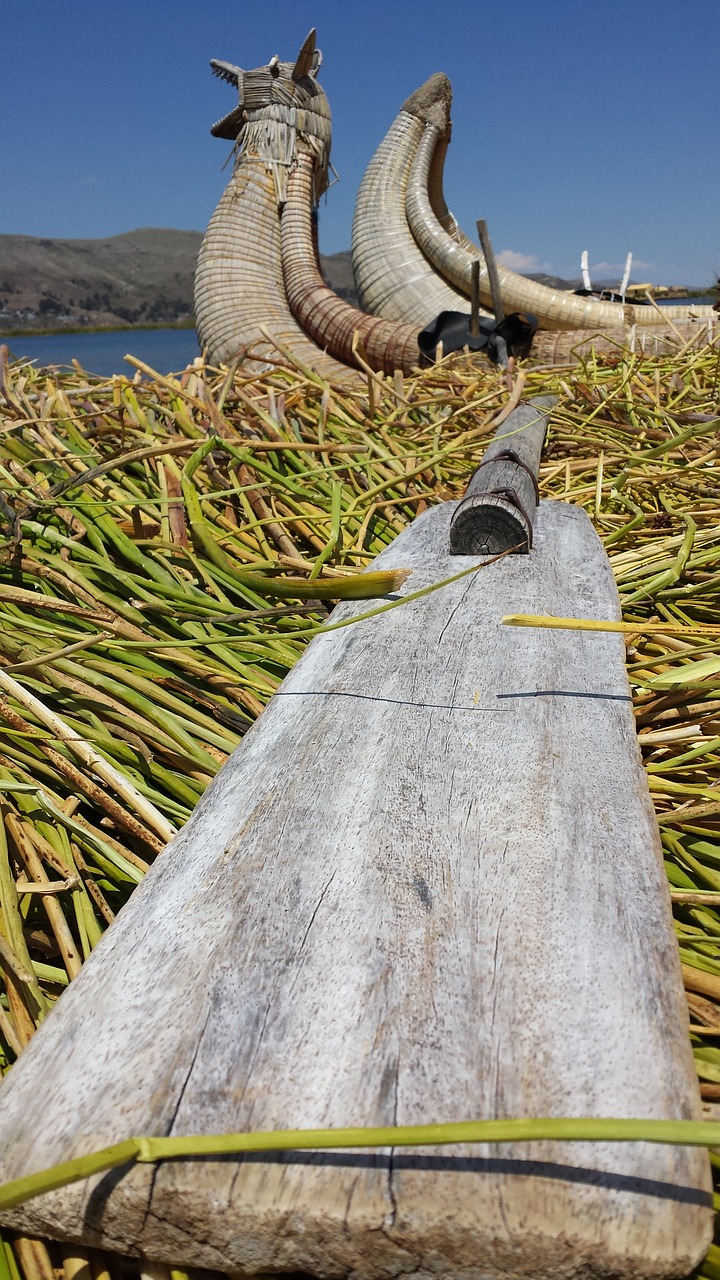 Orlaiviai, Nendrės, Valtis, Uro, Ežeras Titicaca, Irklas, Puno, Peru, Nemokamos Nuotraukos,  Nemokama Licenzija