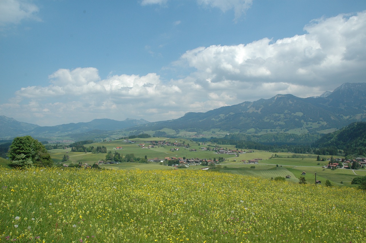 Obermaiselstein, Alpių Laukinės Gamtos Parkas, Vaizdas, Kalnai, Panorama, Pieva, Allgäu, Kraštovaizdis, Alpių, Perspektyva