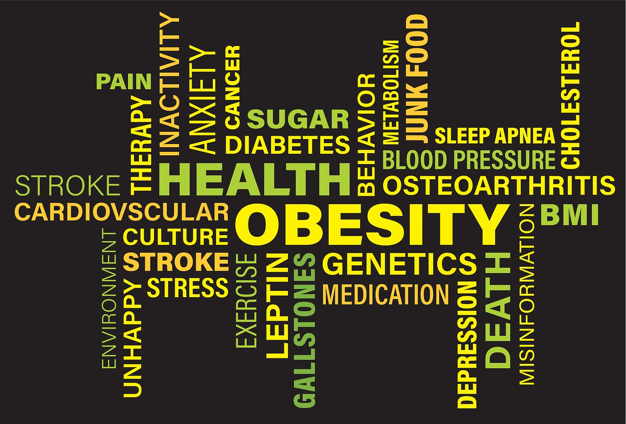 Nutukimas,  Sveikata,  Fitnesas,  Nustatyti,  Liga,  Simptomai,  Apibūdinimas,  Internetas,  Dienoraštis,  Stresas
