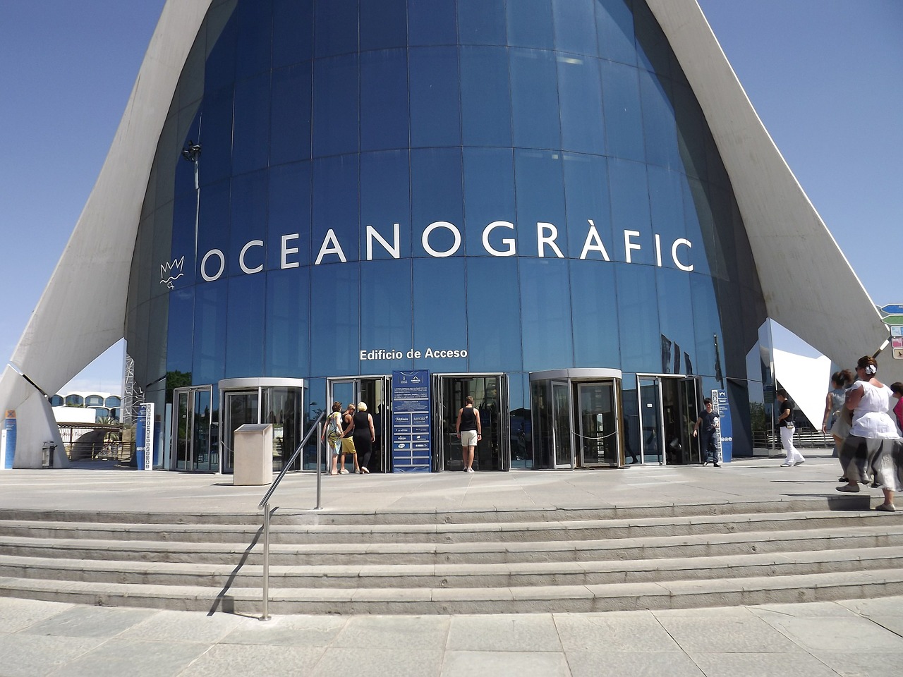 Okeanografija, Valensija, Muziejus, Žuvis, Jūra, Nemokamos Nuotraukos,  Nemokama Licenzija