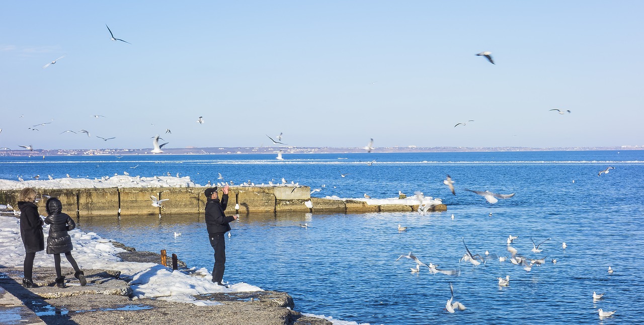 Odessa, Jūra, Langeronas, Žmonės, Kaukolės, Nemokamos Nuotraukos,  Nemokama Licenzija