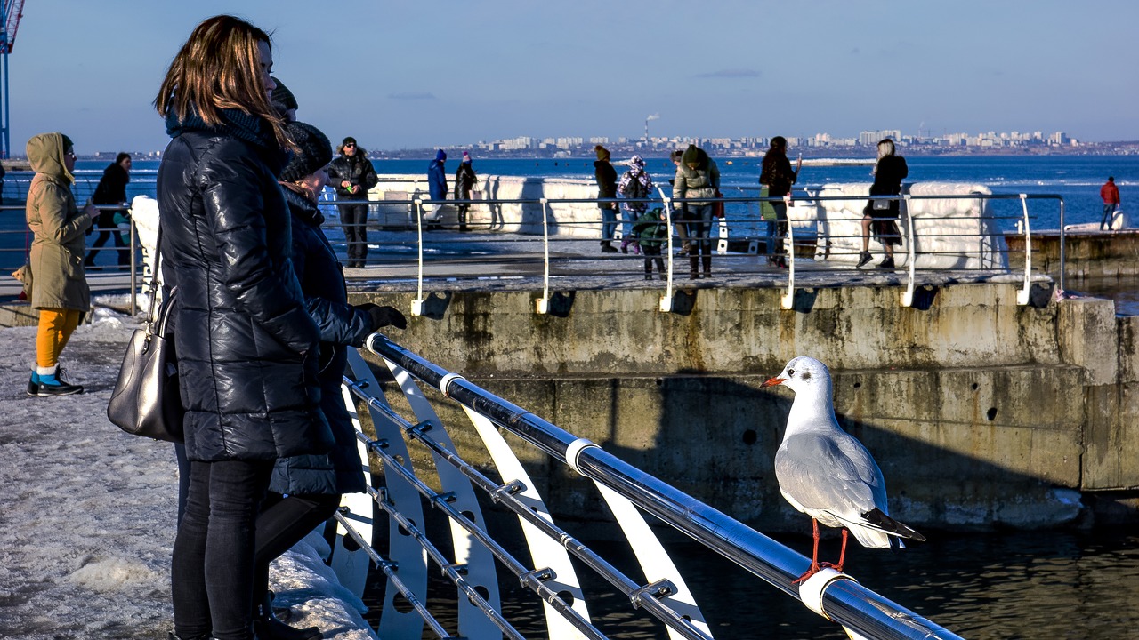 Odessa, Langeronas, Kajakas, Žmonės, Nemokamos Nuotraukos,  Nemokama Licenzija