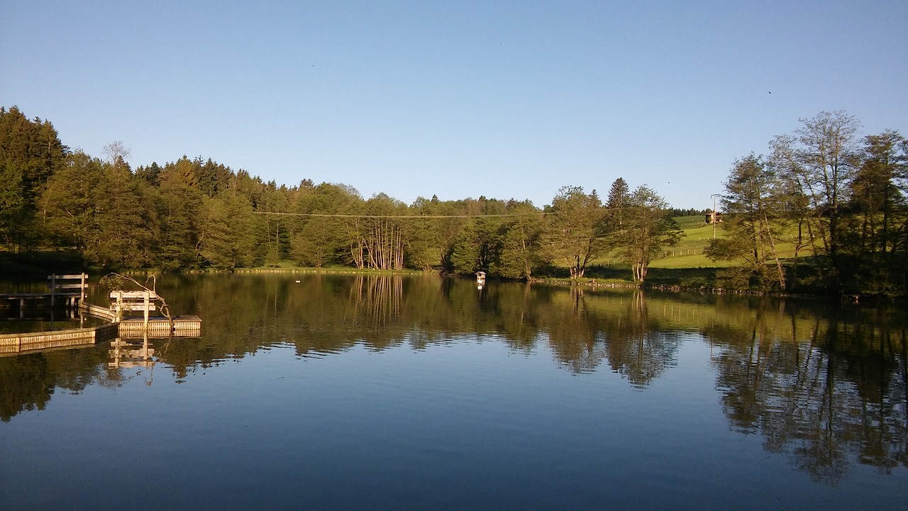 Oggenrieder Weiher, Issee, Allgäu, Nemokamos Nuotraukos,  Nemokama Licenzija