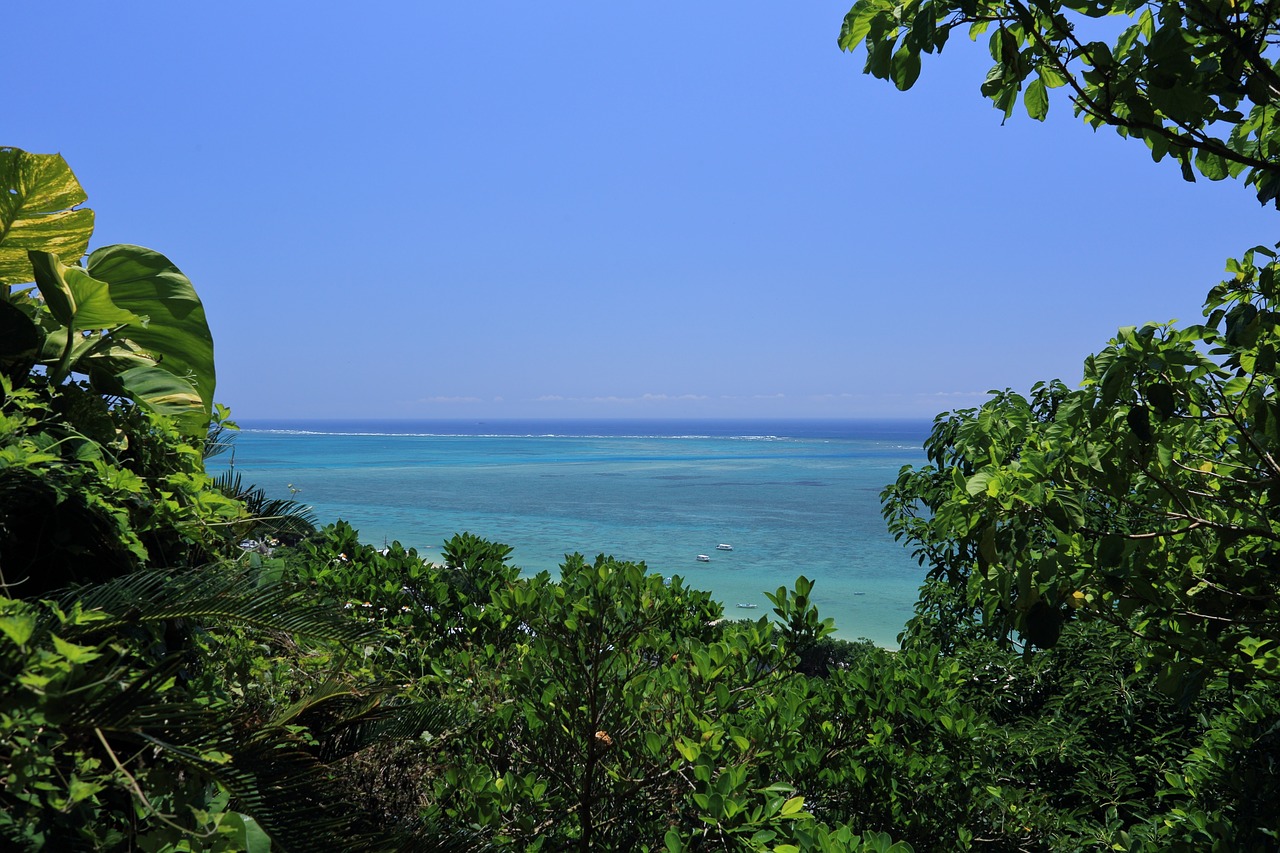Okinawa, Mėlyna Jūra, Koraliniai Rifai, Nemokamos Nuotraukos,  Nemokama Licenzija