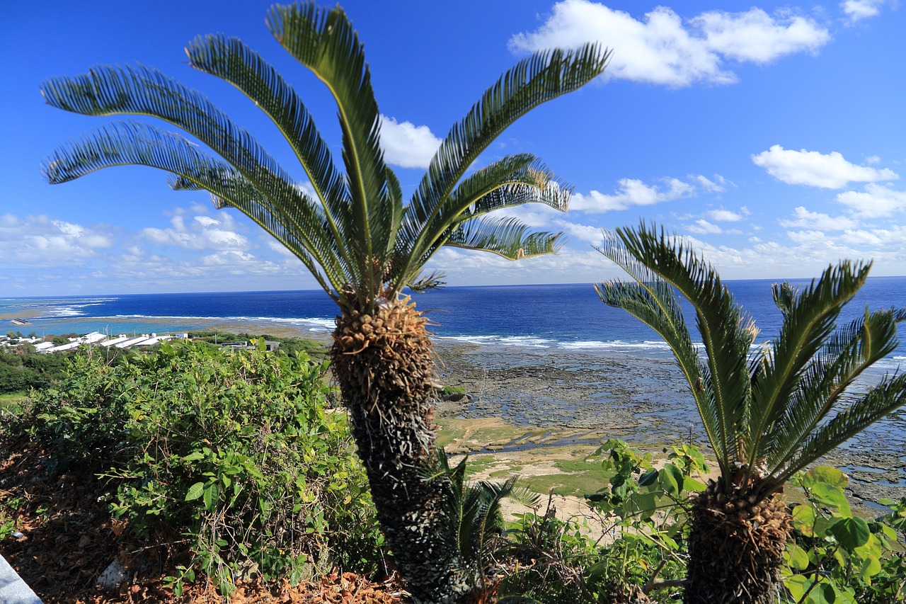 Okinawa, Mėlyna Jūra, Cikas, Giedras Dangus, Vasara, Natūralus, Mėlynas, Mėlynas Dangus, Gamta, Nemokamos Nuotraukos