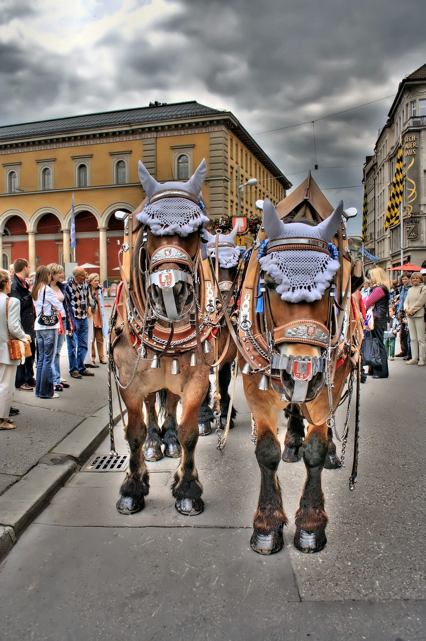 Arkliai, Oktoberfest, Munich, Taksi, Nemokamos Nuotraukos,  Nemokama Licenzija