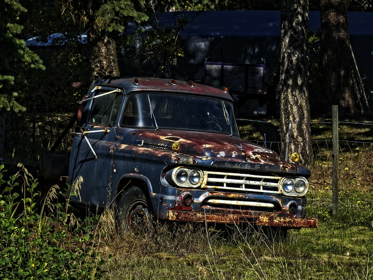 Senas, Dodge, Sunkvežimis, Rusvas, Metalinė Transporto Priemonė, Senas Laikmatis, Hdr, Medžiai, Atspalvis, Gabenimas