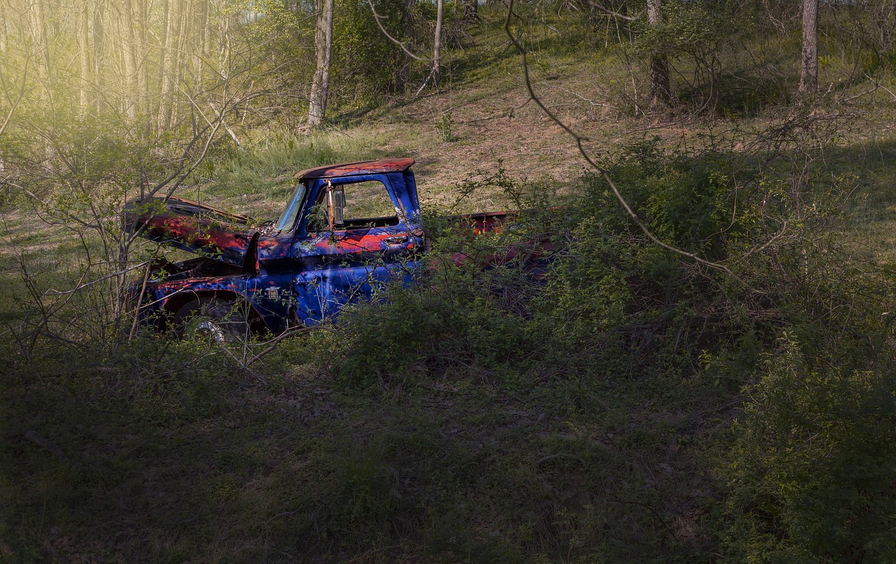 Metai,  Sunkvežimis,  Vintage,  Rūdžių Spalvos,  Paimti,  Automobilių,  Automobilių,  Raudona,  Mėlyna,  Suskirstytas