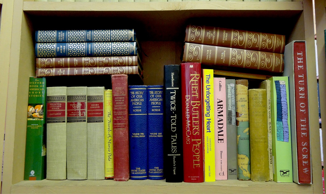 Senos Knygos, Knygos, Knygų Lentyna, Lentyna, Biblioteka, Knygų Parduotuvė, Senovinis, Vintage, Literatūra, Dėvėti