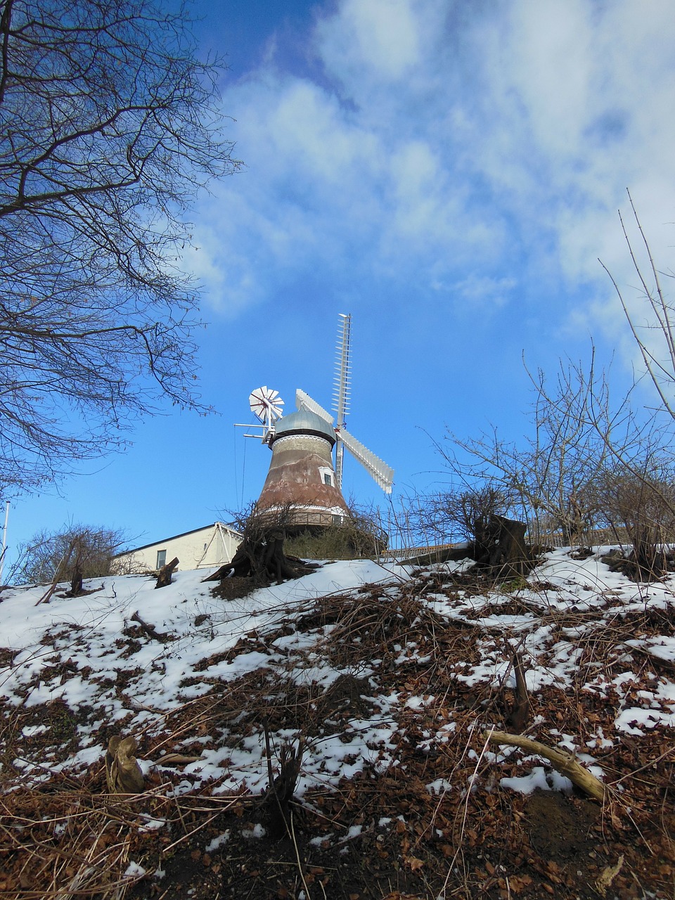 Senoji Vėjo Malūnas, Purvinas Malūnas, 1800, Amžius, Pastatytas 1858 M ., Funkcinis, 25 M, Aukštas, 7 Aukštuose, Senas Verslas