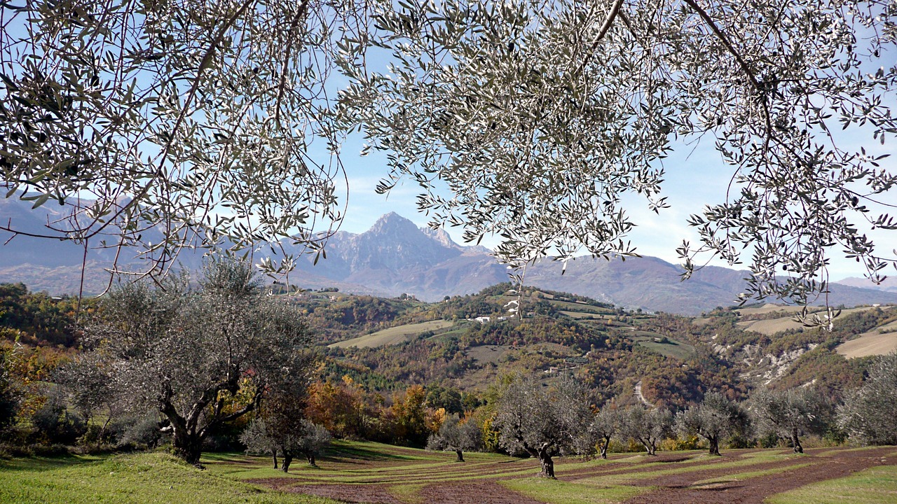 Alyvmedžiai, Kalnai, Italy, Gamta, Vaizdingas, Kaimas, Gražus, Peizažai, Abruzzo, Panorama
