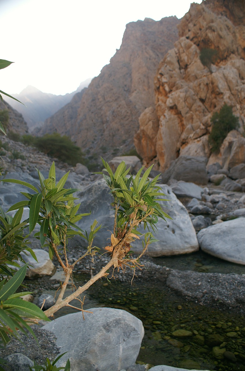 Oman, Wadi, Kalnai, Nemokamos Nuotraukos,  Nemokama Licenzija