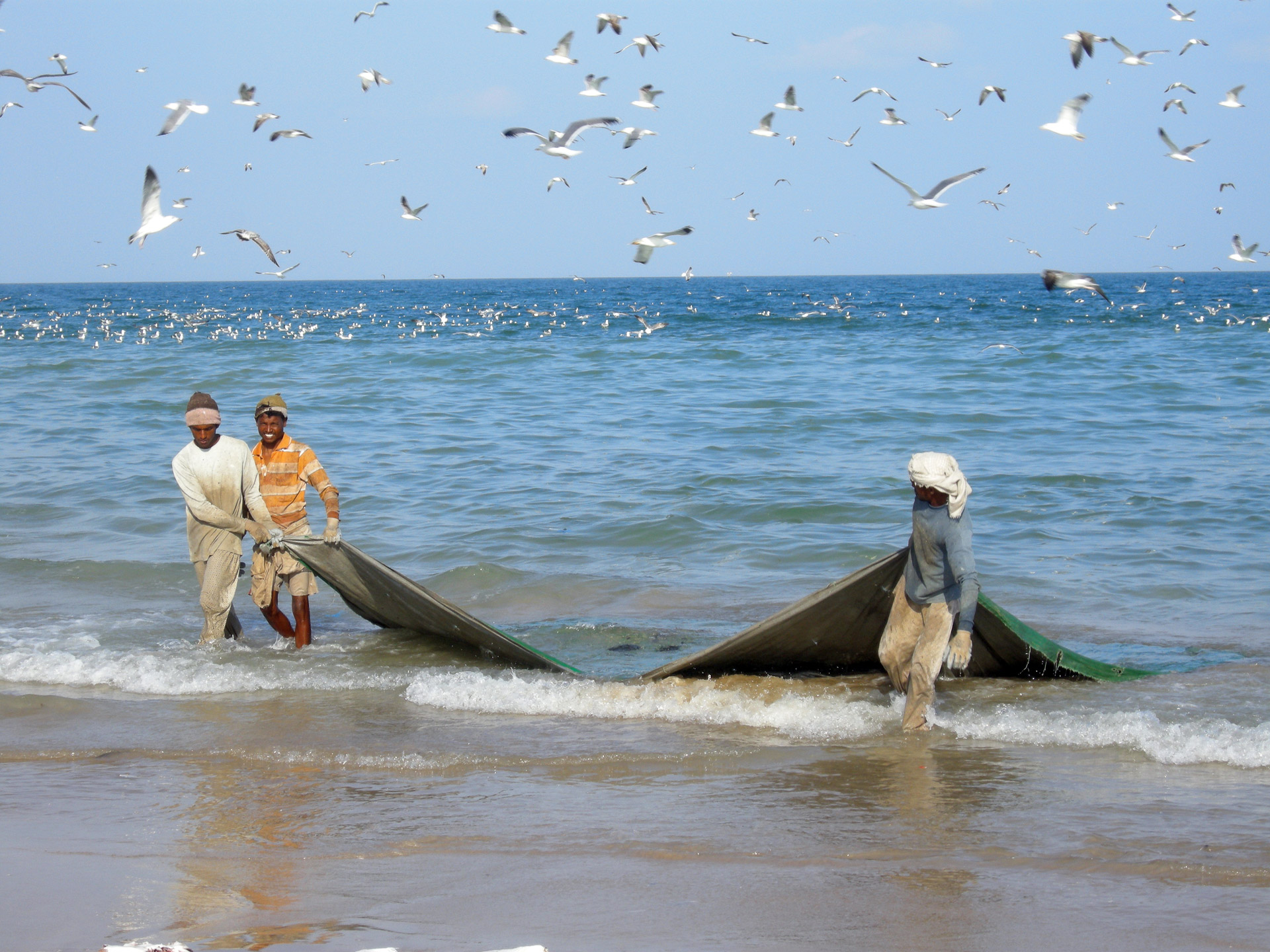 Oman,  Persijos Įlanka,  Indijos Vandenynas,  Žvejai,  Žvejyba,  Svečiai Žvejams, Nemokamos Nuotraukos,  Nemokama Licenzija