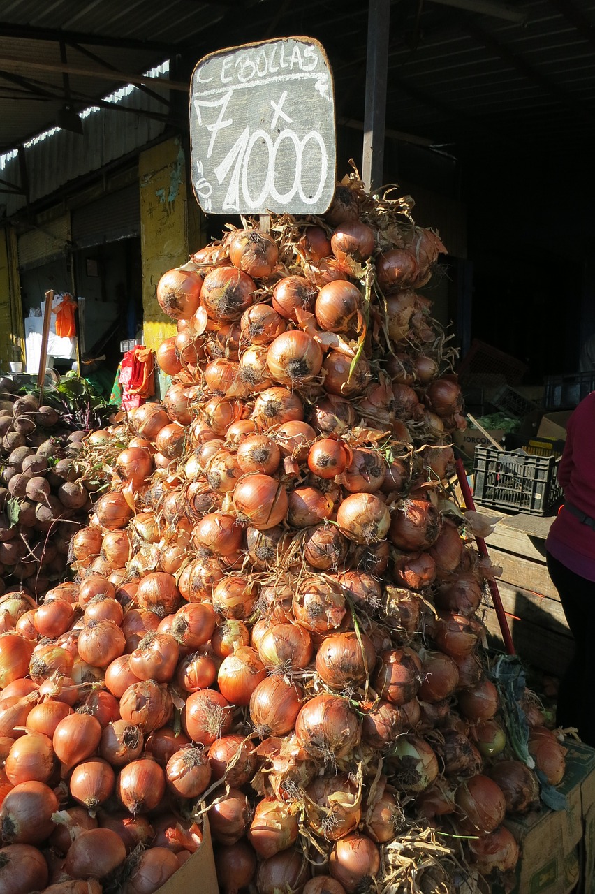 Svogūnai, Krūva, Ekologiškas, Daržovės, Maistas, Sveikas, Vegetariškas, Balta, Mityba, Šviežias