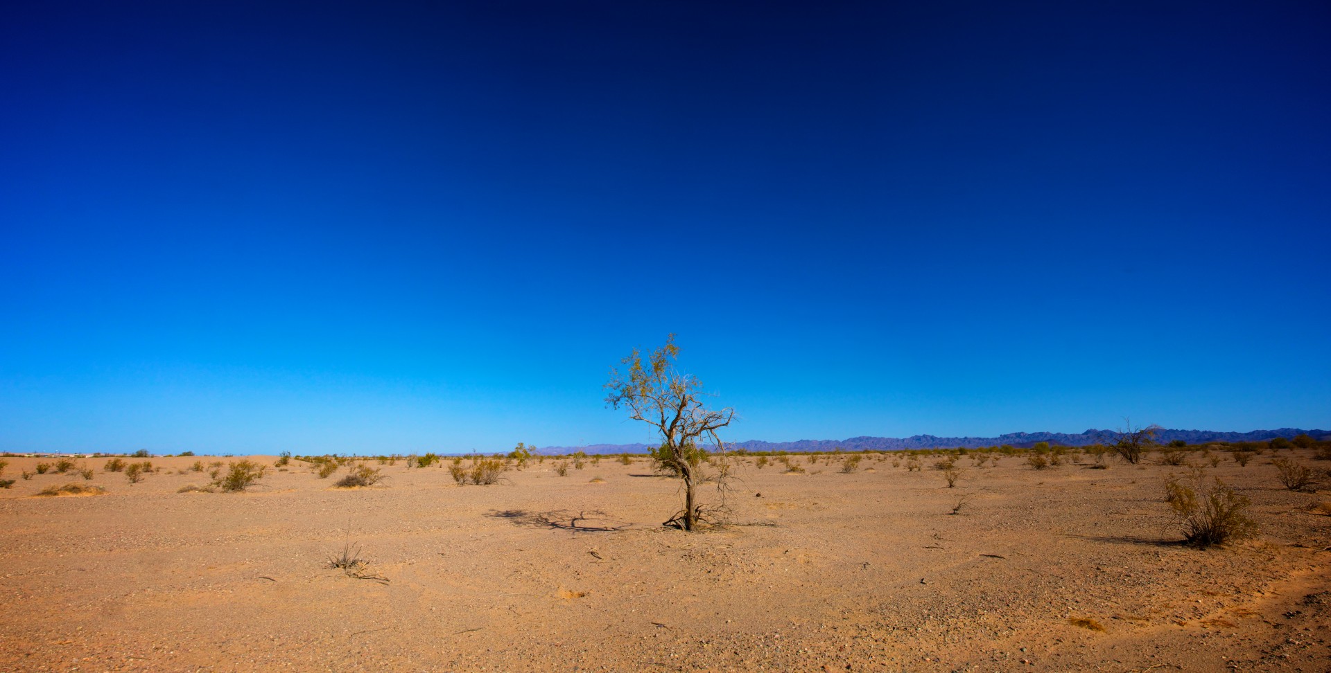 Sausas,  Arizona,  Kalifornija,  Klimatas,  Klimatas & Nbsp,  Pakeisti,  Dykuma,  Sausas,  Tuščia,  Tuščia & Nbsp