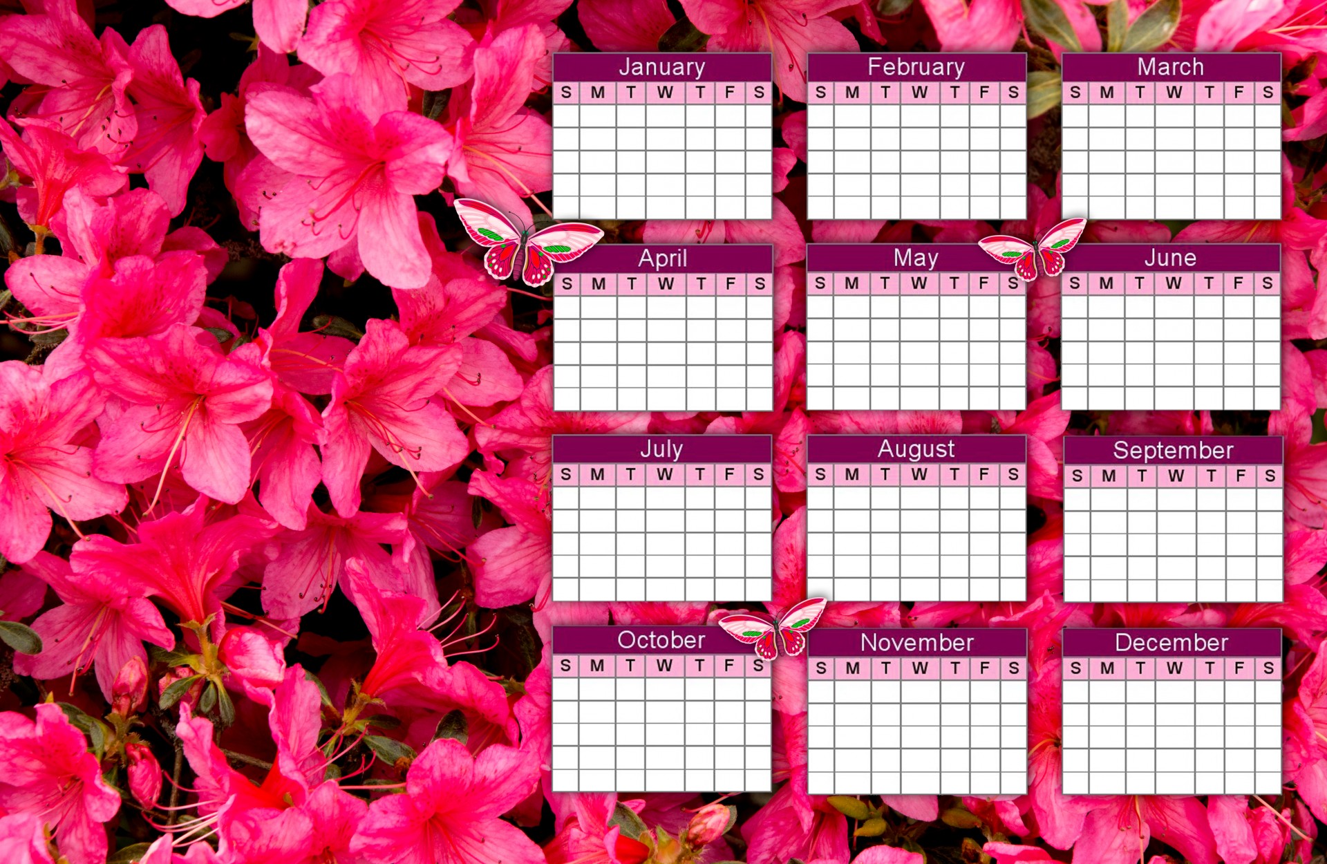 Atidarykite & Nbsp,  Metų & Nbsp,  Kalendorių,  Kalendorius,  Gėlių & Nbsp,  Kalendorius,  Gėlių & Nbsp,  Kalendorius,  Raudona & Nbsp,  Gėlė & Nbsp
