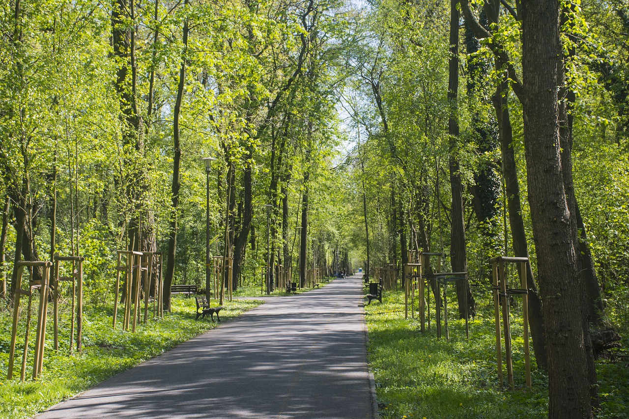 Opolė,  Sala Bolko,  Kelias,  Medis,  Parkas, Nemokamos Nuotraukos,  Nemokama Licenzija