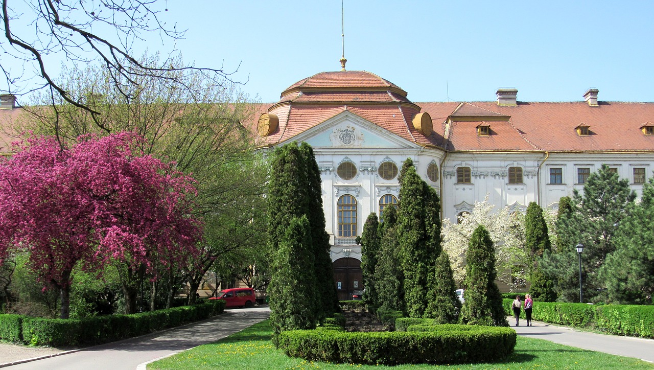 Oradea, Transilvanija, Crisana, Romanija, Centras, Muziejus, Pastatas, Nemokamos Nuotraukos,  Nemokama Licenzija