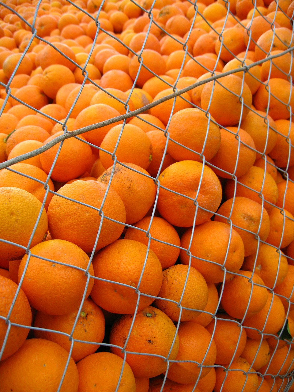 Oranžinė, Ispanija, Saulėtas, Apelsinai, Citrusiniai, Vitaminai, Vaisių Rinka, Vaisiai, Saldus, Spalvinga