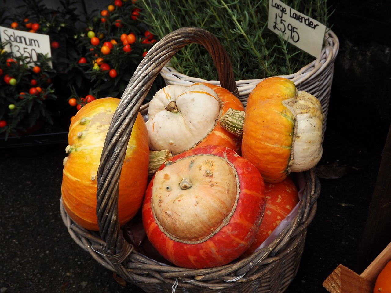 Oranžinė, Ruduo, Halloween, Šventė, Moliūgai, Nemokamos Nuotraukos,  Nemokama Licenzija