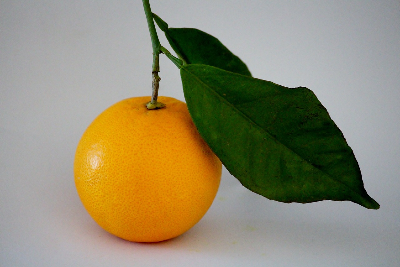 Oranžinė, Filialas, Vitamino C, Vaisiai, Sveikas, Nemokamos Nuotraukos,  Nemokama Licenzija