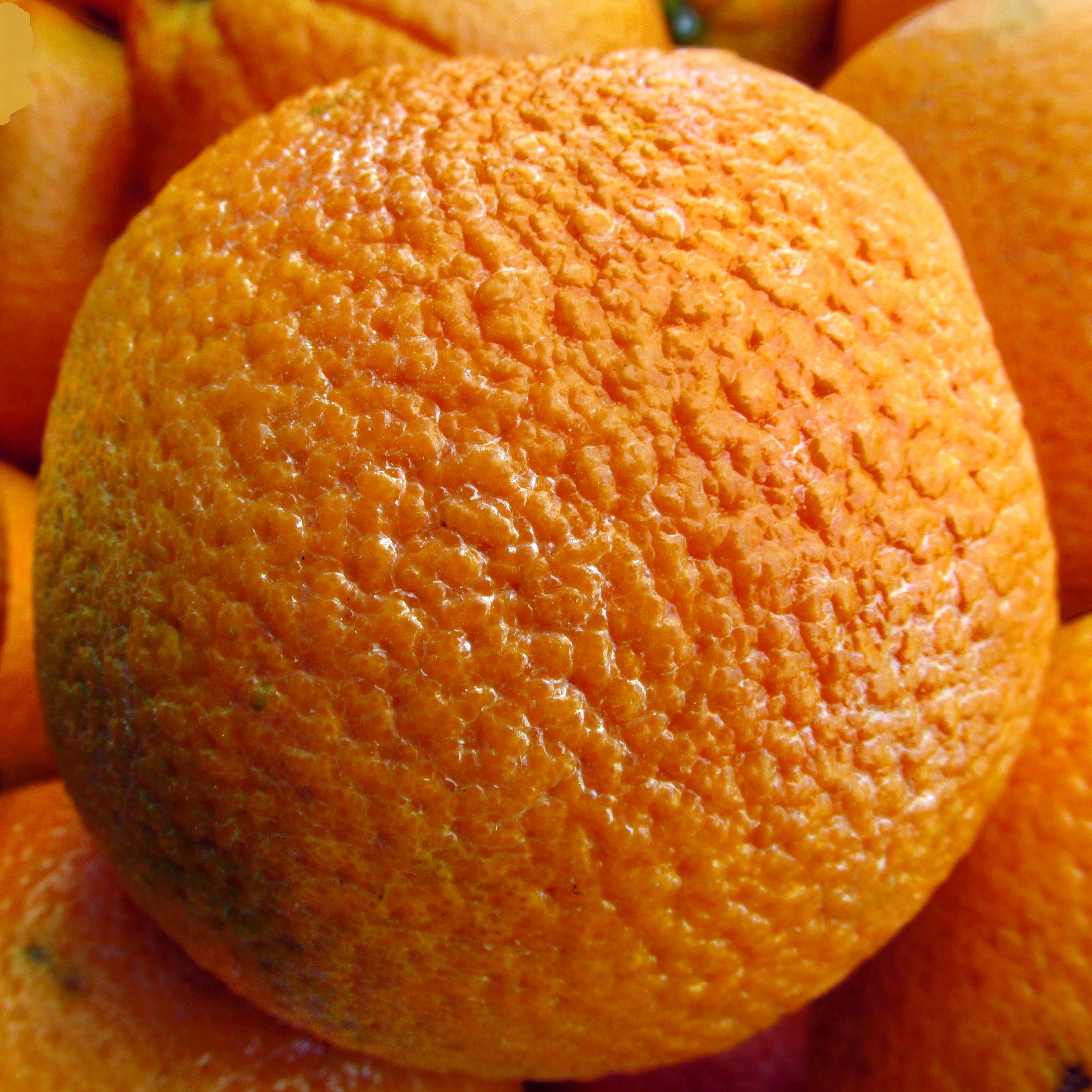 Oranžinė,  Apelsinai,  Iš Arti,  Fonas,  Makro,  Tekstūra,  Sveikas,  Vaisiai,  Gamta,  Atogrąžų