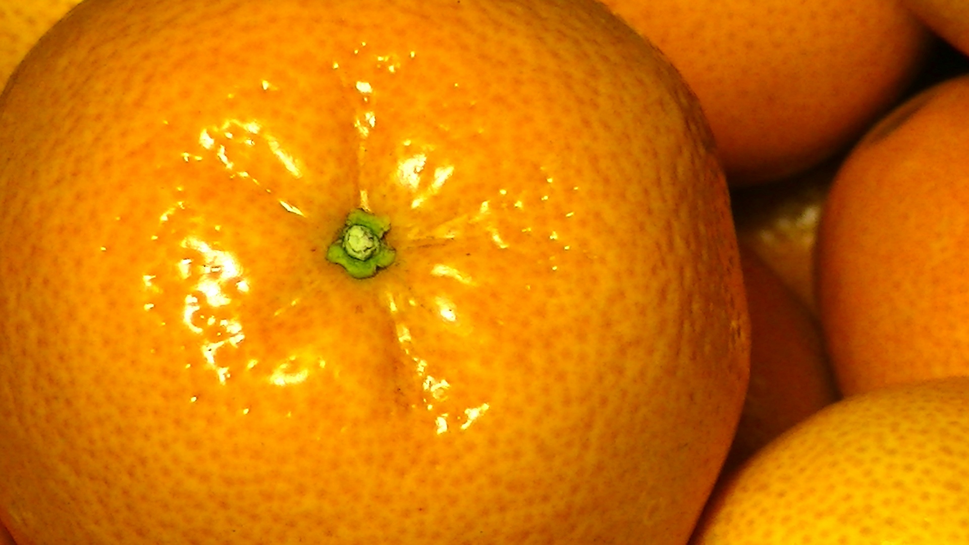 Oranžinė,  Apelsinai,  Vaisiai,  Vaisiai,  Vaisių,  Klementinos,  Klementinas,  Satsuma,  Satsumas,  Maistas