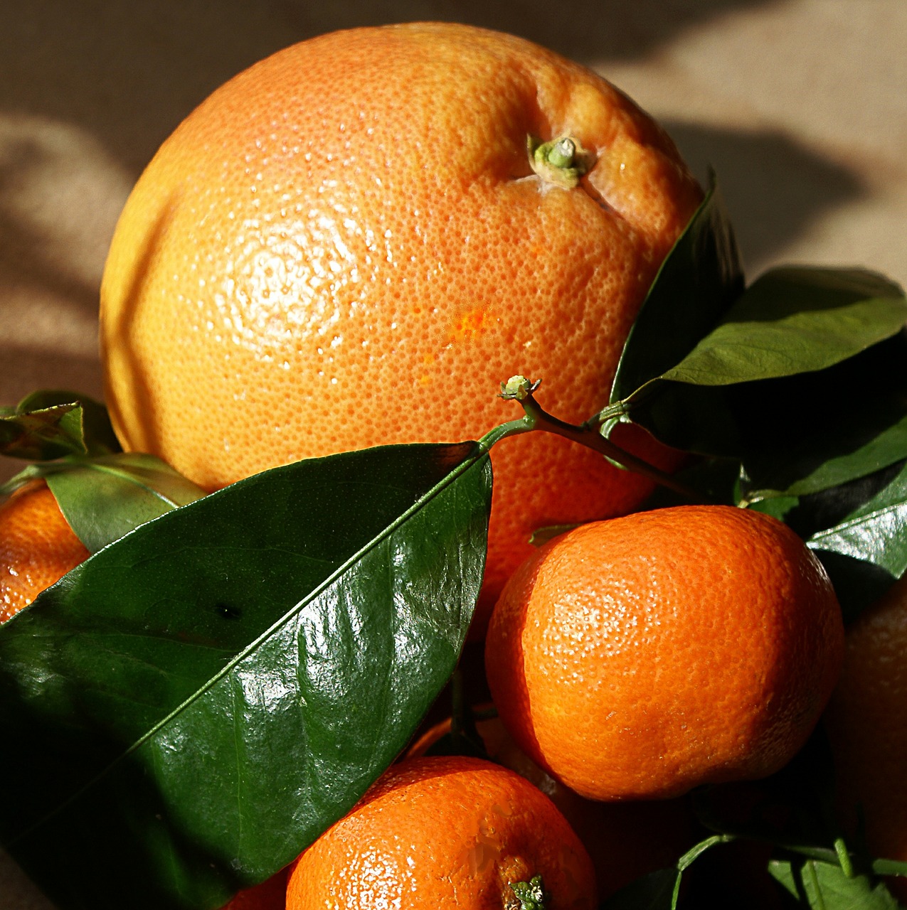 Apelsinai, Mandarinai, Pietų Vaisiai, Vaisiai, Stiebas, Poringumas, Gamta, Oranžinė, Turtingumas, Tropiniai Vaisiai
