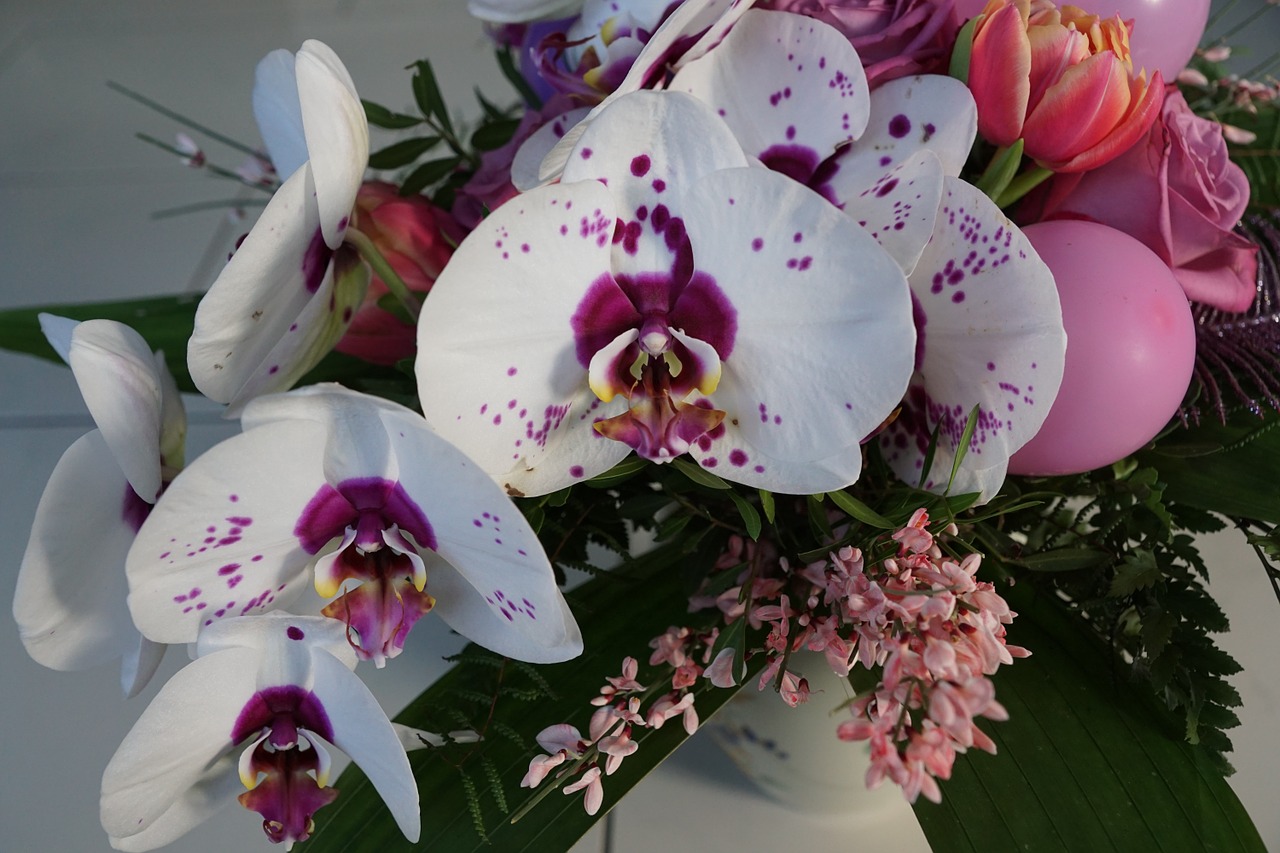 Orchidėja, Balta, Gėlė, Pavasaris, Kvepalai, Aromatas, Kvepalai, Veikliosios Medžiagos, Kosmetika, Spa