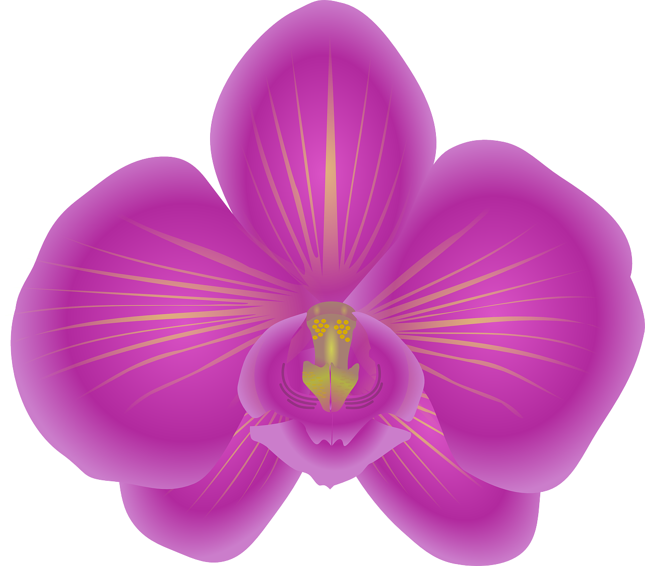 Orchidėja, Gėlė, Žydėti, Violetinė, Nemokama Vektorinė Grafika, Nemokamos Nuotraukos,  Nemokama Licenzija