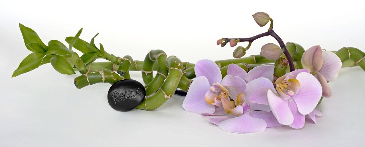 Orchidėja, Orchidėjų Gėlė, Bambukas, Laimingas Bambukas, Atsipalaidavimas, Atsigavimas, Balansas, Atsipalaiduoti, Sveikata, Į Sveikatą