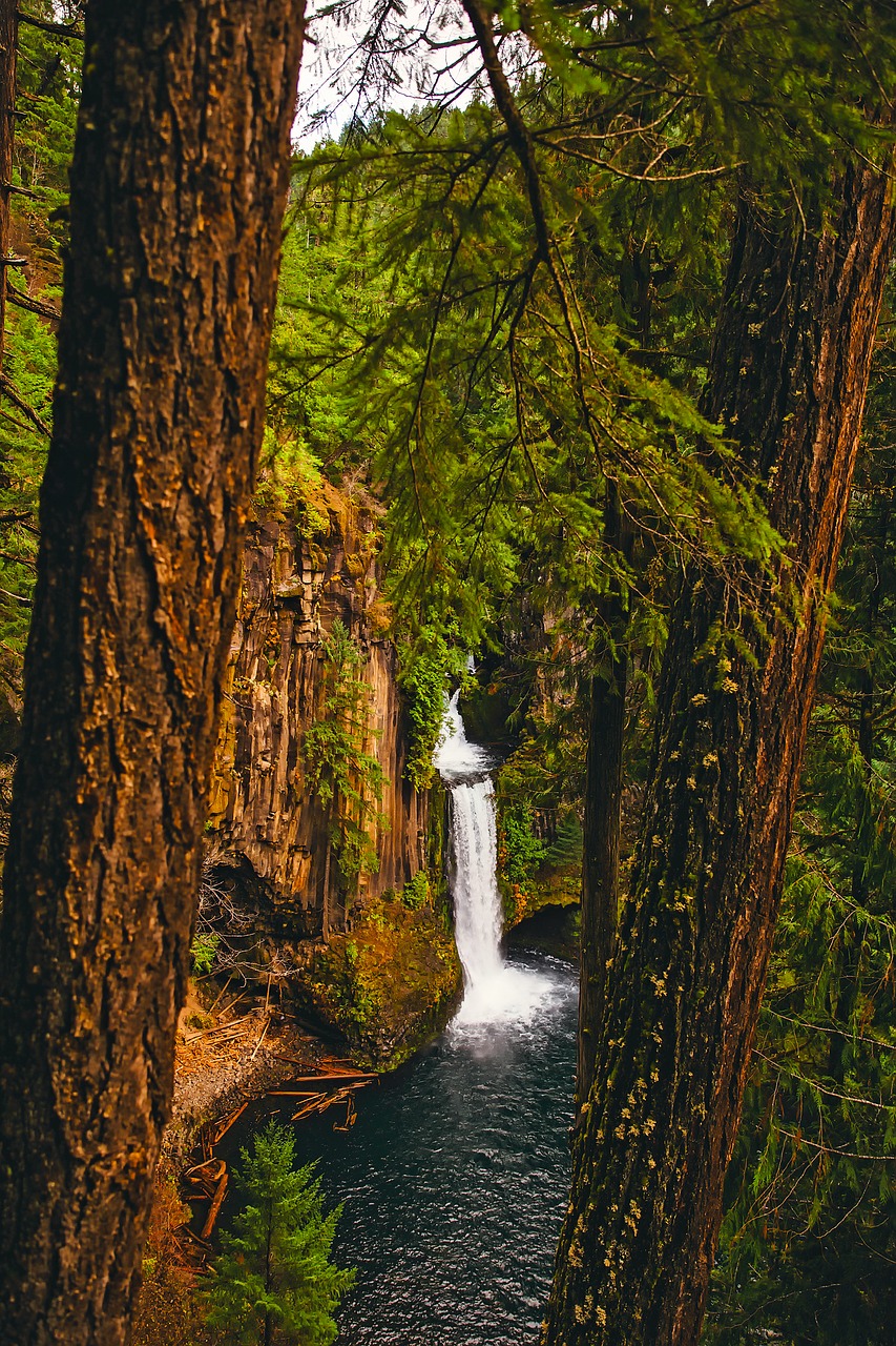 Oregonas, Kalnai, Krioklys, Kritimo, Upė, Srautas, Vanduo, Miškas, Medžiai, Miškai