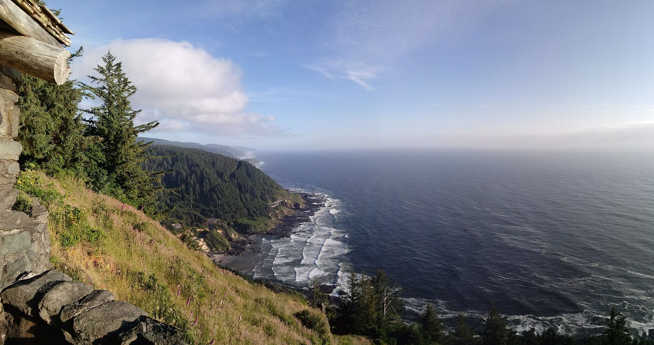 Oregonas, Cape Perpetua, Kranto, Jūros Dugnas, Vasara, Nemokamos Nuotraukos,  Nemokama Licenzija