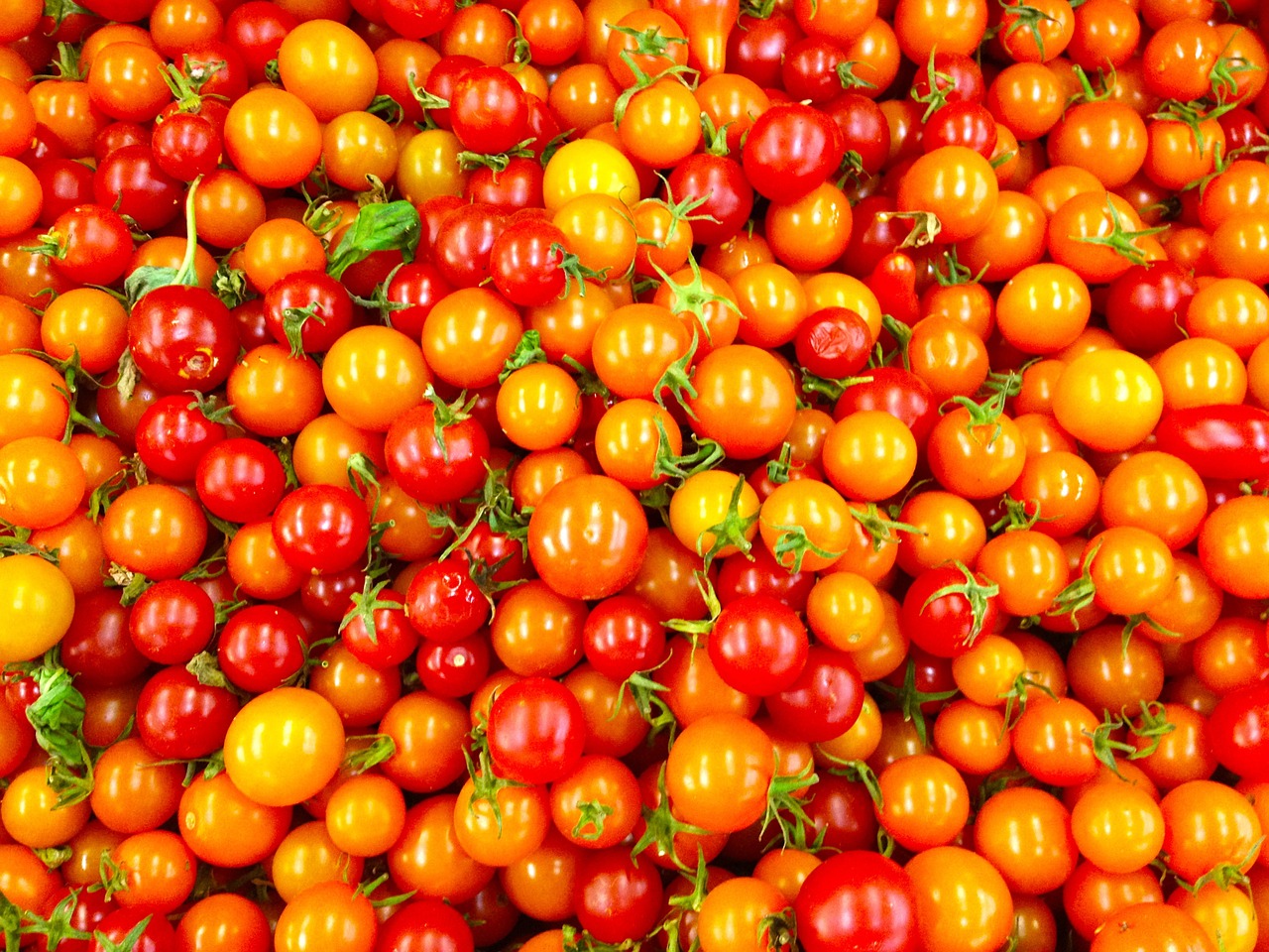 Ekologiškas, Pomidoras, Šviežias, Nemokamos Nuotraukos,  Nemokama Licenzija