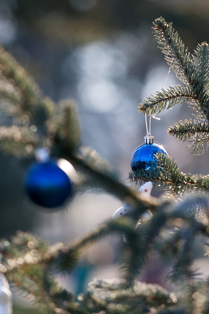 Ornamentu,  Kalėdų,  Ornamentika,  Šviesti,  Sklandžiai,  Gruodis,  Sezoninis,  Šventė,  Medis,  Pušis