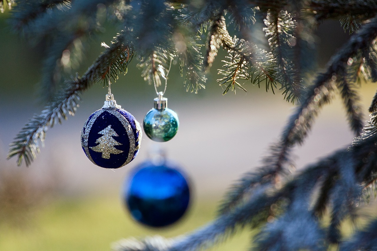 Ornamentu,  Kalėdų,  Ornamentika,  Šviesti,  Sklandžiai,  Gruodis,  Sezoninis,  Šventė,  Medis,  Pušis