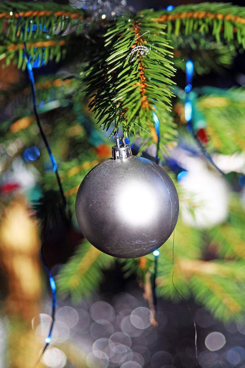 Ornamentas, Kalėdos, Kalėdiniai Dekoracijos, Adatos, Sodinukai, Šviesa, Aksesuarai, Kalėdų Eglutė, Mėlynas, Sidabras